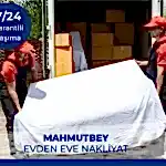 Mahmutbey Evden Eve Taşıma